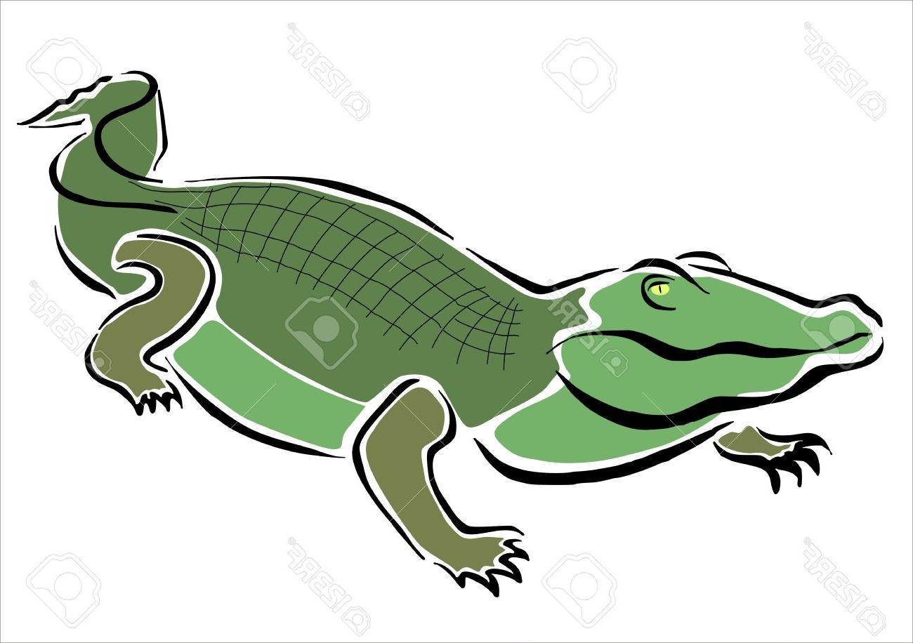 1300x916 Best Hd Crocodile Drawing Vector Drawing Free Vector Art, Images