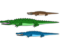 250x192 Cartoon Crocodile Step