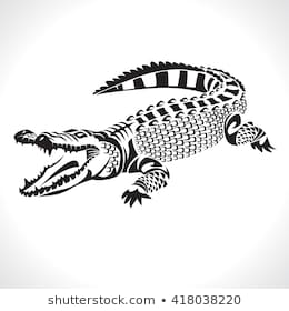 260x280 Huge Collection Of 'croc Drawing' Download More Than Images