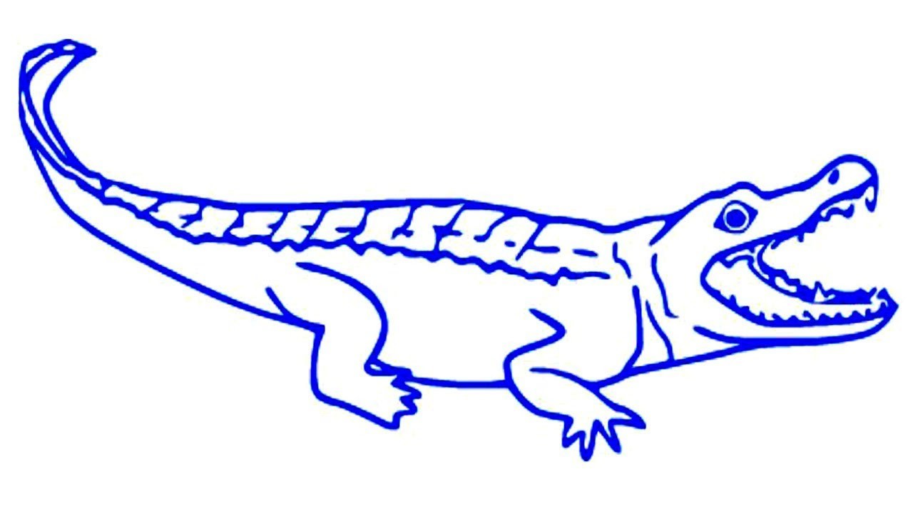 1280x720 Baby Alligator Coloring Coloring Fresh American Alligator Coloring
