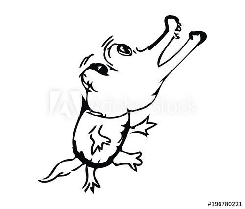 500x427 Crocodile Drawing