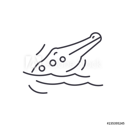 500x500 Crocodile Line Icon Concept Crocodile Vector Linear Illustration