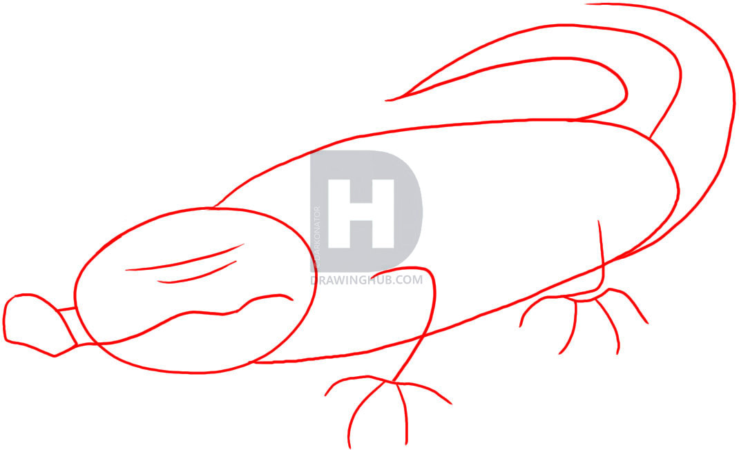 1070x652 How To Draw A Crocodile, Step