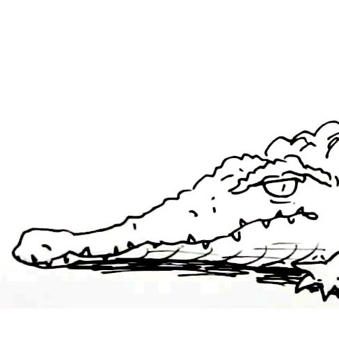 487x487 How To Draw A Crocodile Shoo Rayner