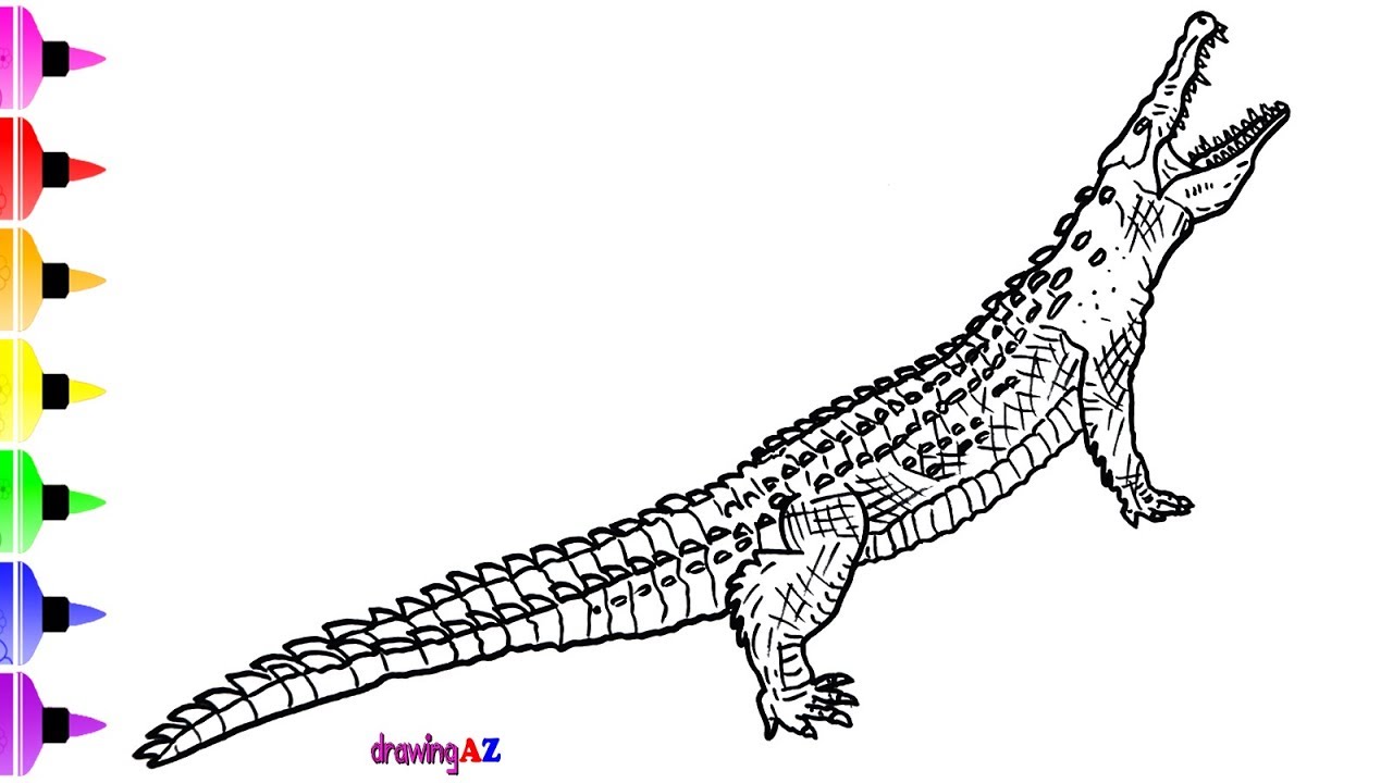 1280x720 How To Draw Alligator For Kids