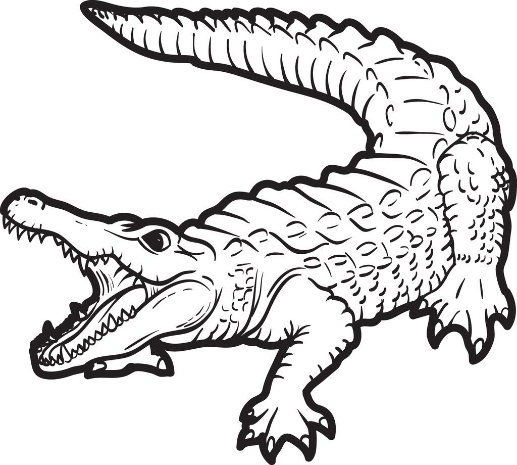 1024x920 Alligator Coloring Page
