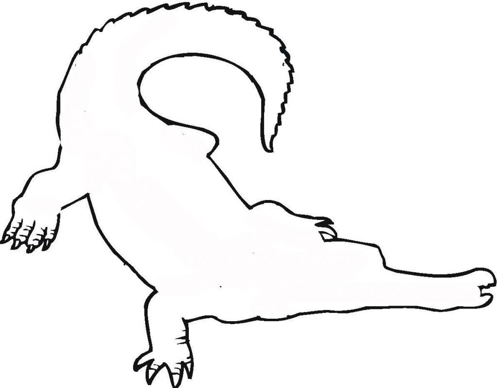 Crocodile Outline Drawing