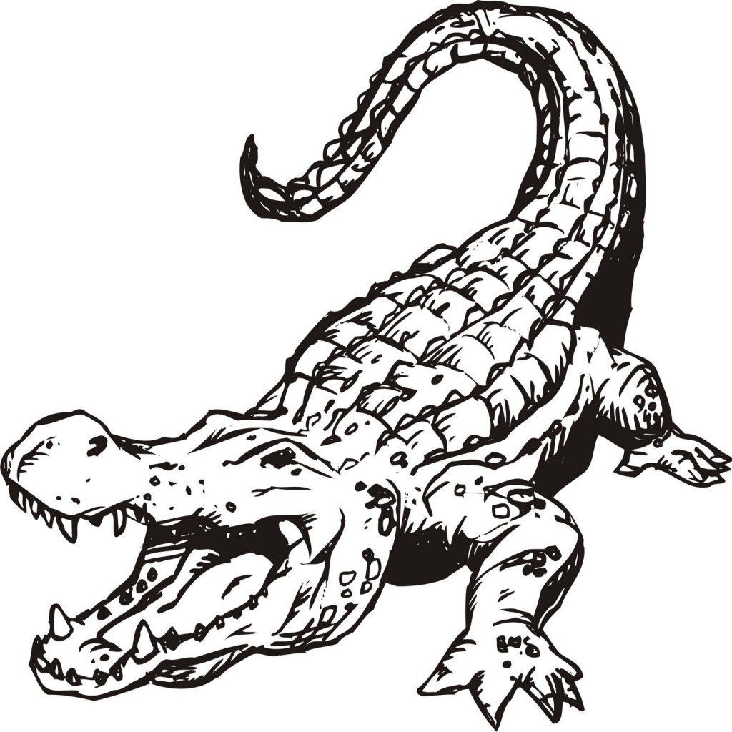 1024x1024 Crocodile Coloring Pages Free