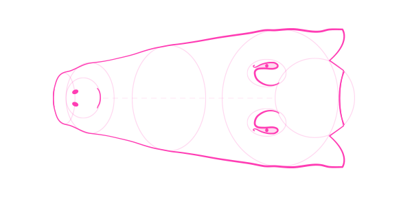 600x297 How To Draw Animals Crocodiles, Alligators, Caimans And Gharials