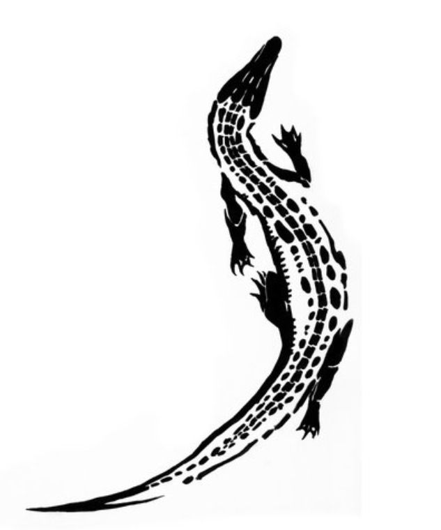 633x760 Need This Tattoo, Alligators Are Strong And Wise, And Have