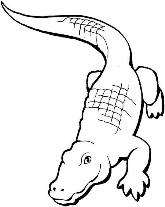 540x679 Robot Drawing Crocodile For Free Download