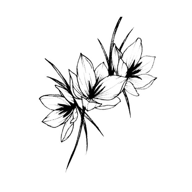 620x620 crocus flower chronic ink
