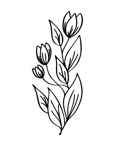 Crocus Drawing | Free download on ClipArtMag