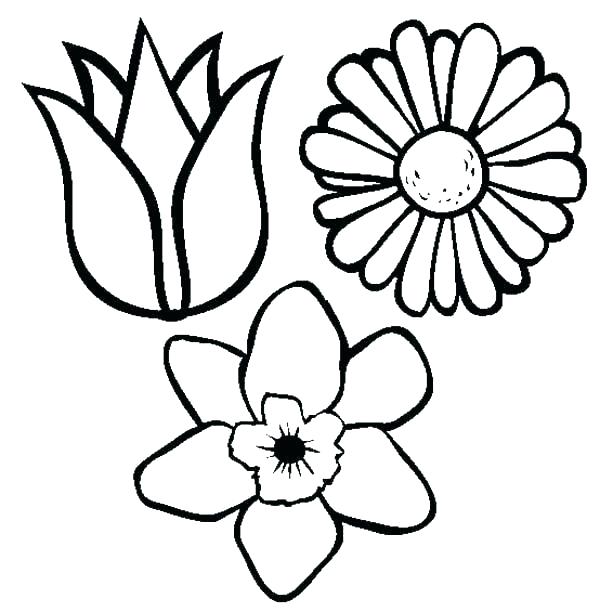 600x612 drawings of pretty flowers easy to draw flowers pretty flowers