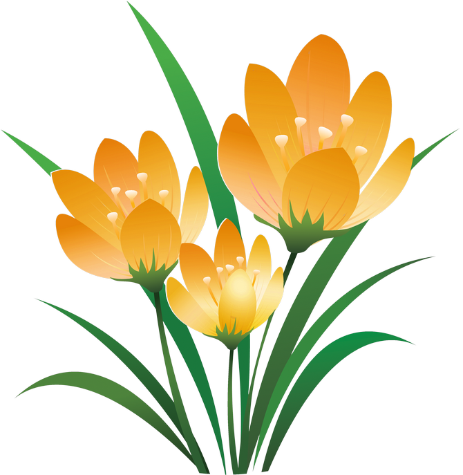 670x687 Crocus Drawing Snow Painting Huge Freebie! Download