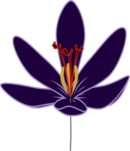 518x600 Crocus Blossom Free Vector In Open Office Drawing