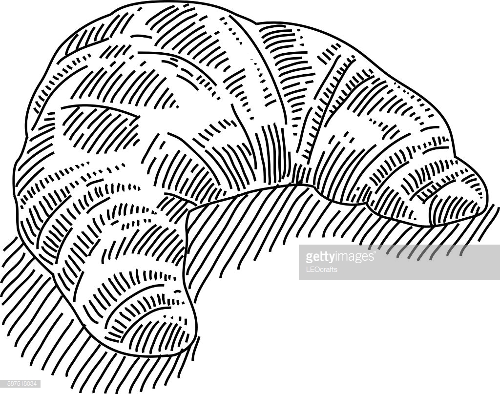 1024x807 collection of 'croissant drawing' download more than images