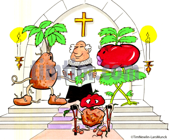 560x463 free drawing of genetically engineered crops from the category