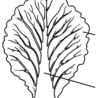 320x320 pdf nutrient management for commercial fruit vegetable crops