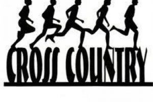 300x200 Croquet Clipart Clipart Portal