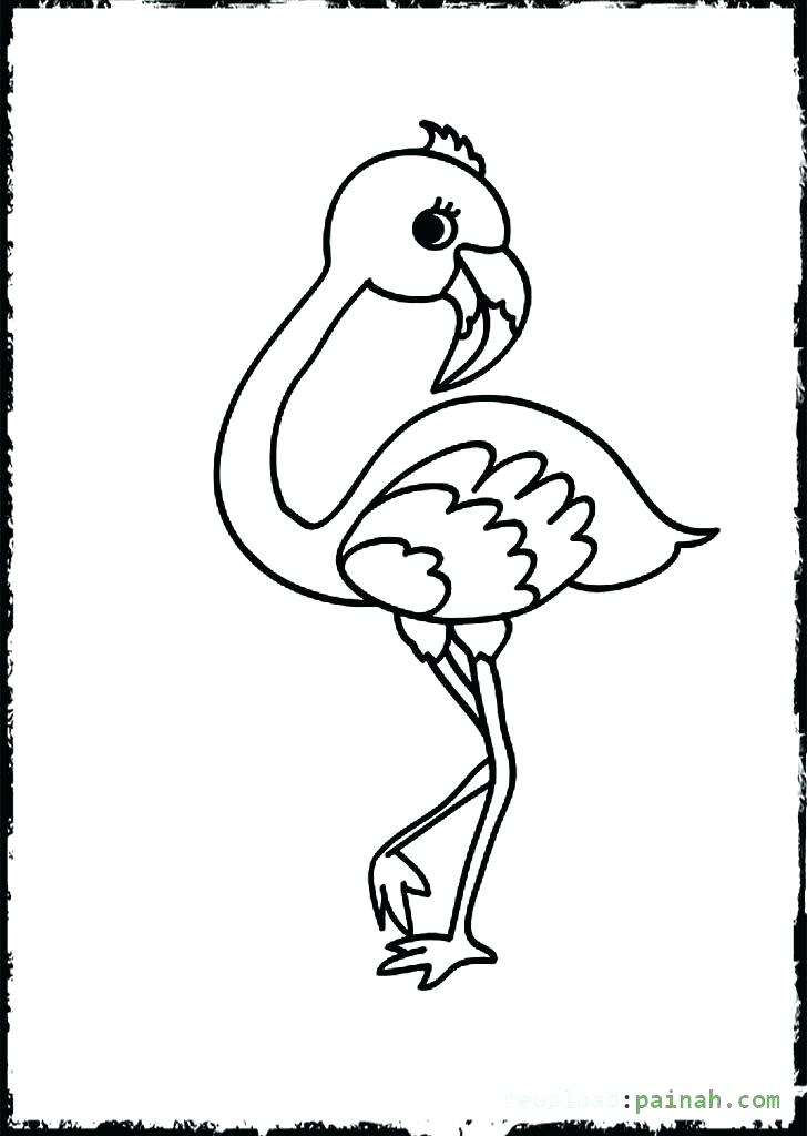 728x1024 Flamingo Drawing Free Download