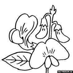 236x236 best drawing flower ideas images sweet pea flowers, sweet