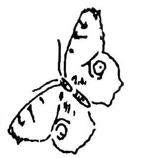 289x324 Sussex County Croquet Club