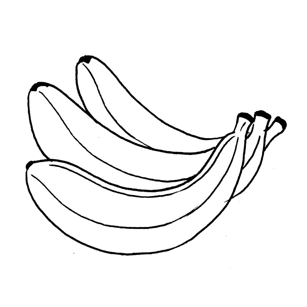 1024x1024 Avocat Et Chantilly Source Biscuit Au