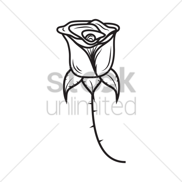 600x600 Rose Vector Image