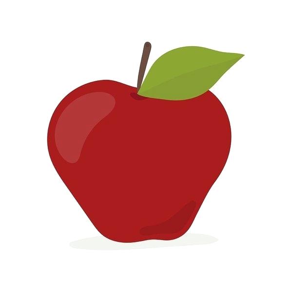 599x600 Apple Fruit Drawing Fruits Custard Apple Fruit Drawing Hoteles