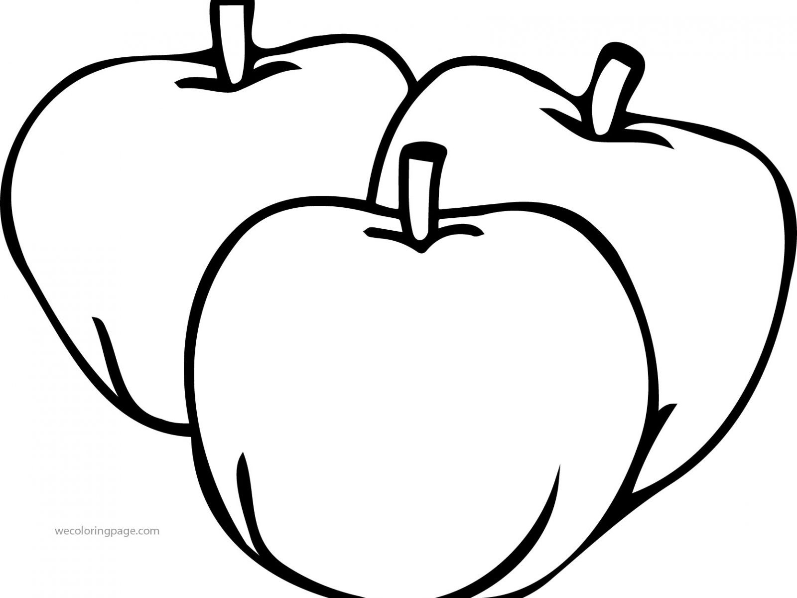 1600x1200 Apple Drawing Free Download