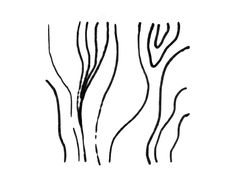 236x182 Best Line Drawing Techniques Images Albrecht Durer, Drawing