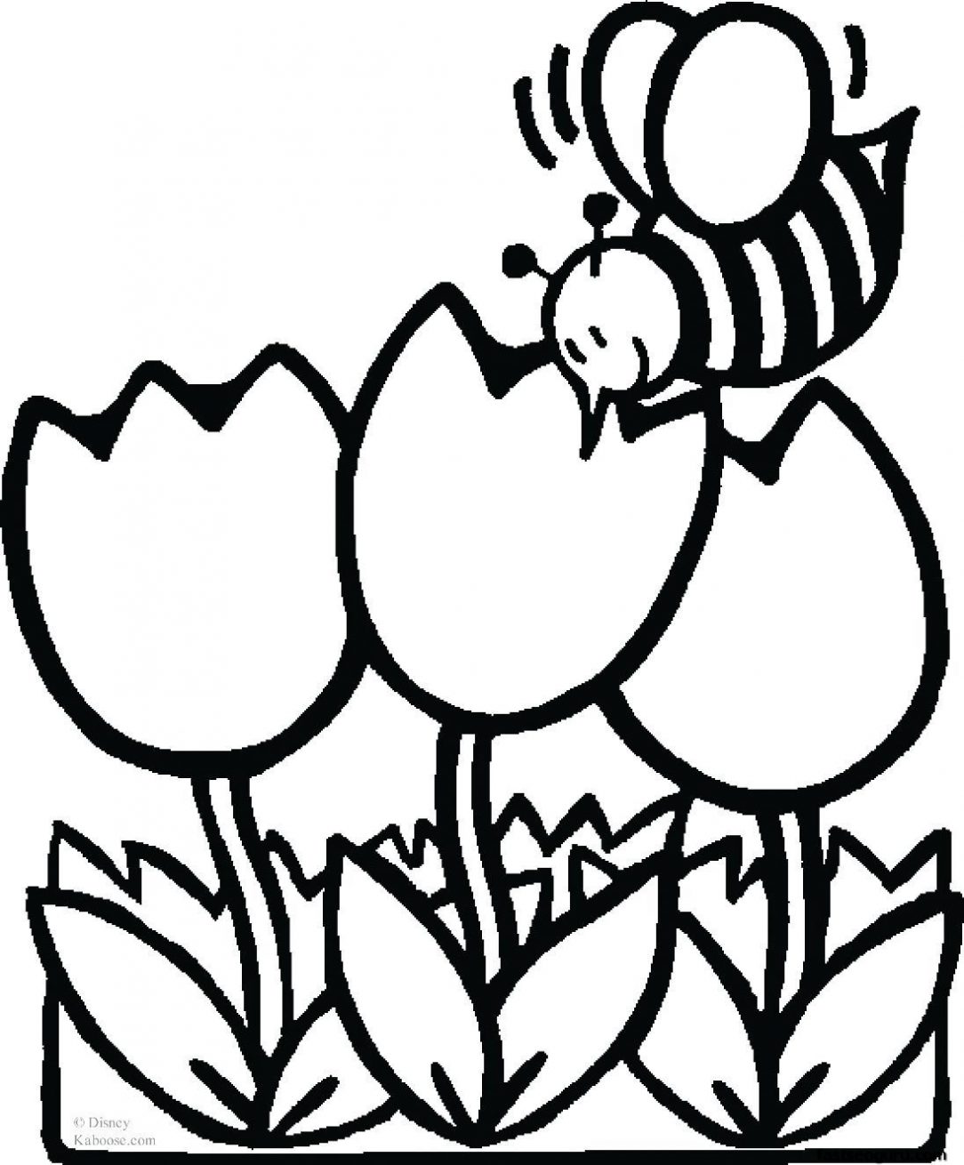 1084x1310 Flower Drawings Images Cute Little With A Cross Easy Step