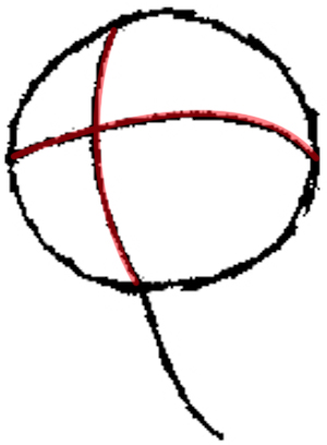 300x408 How To Draw Butterfree From Pokemon With Step