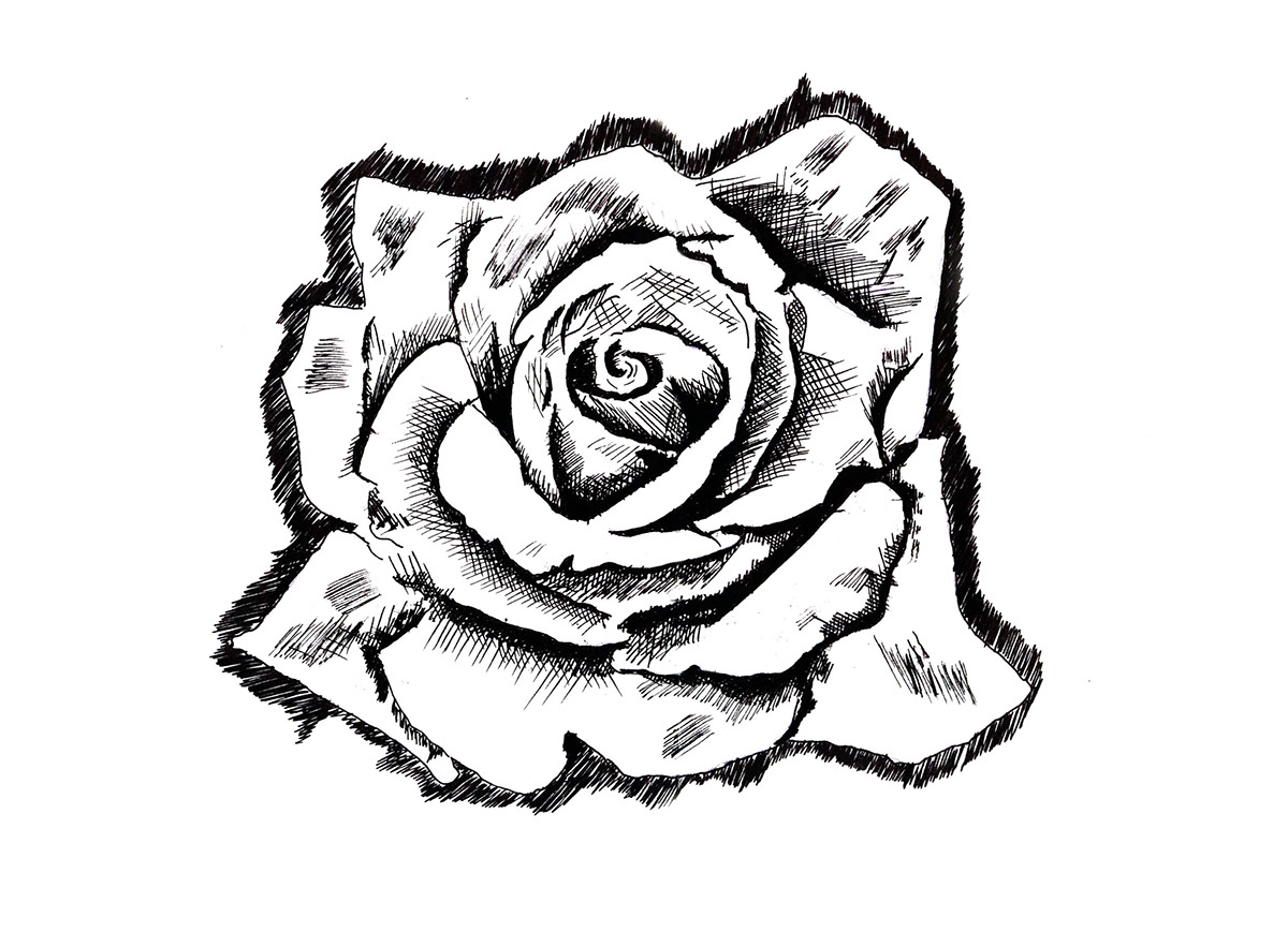 1200x869 Cross Hatching On Behance