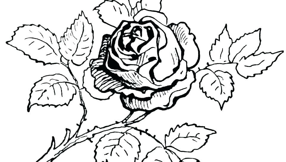 960x544 Crosses With Roses Coloring Pages Best Crosses Images
