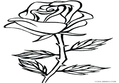 476x333 Rose Garden Coloring