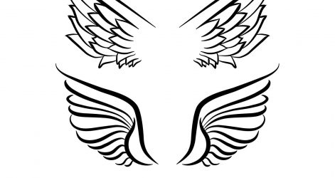 471x250 Angel Wings Line Art Drawing Tags Shapes Drawing Airplane