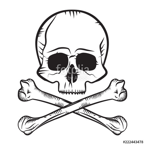 500x500 Human Skull And Crossbones Stock Image And Royalty Free Vector
