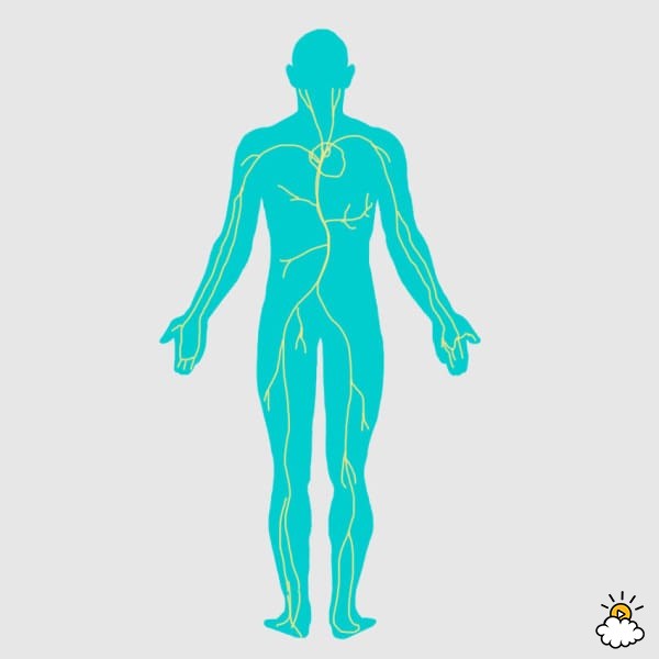 600x600 They Say Leg Crossing Leads To Varicose Veins The Secret Truth