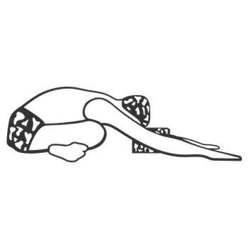 350x350 Basic Standing Pose Sequence