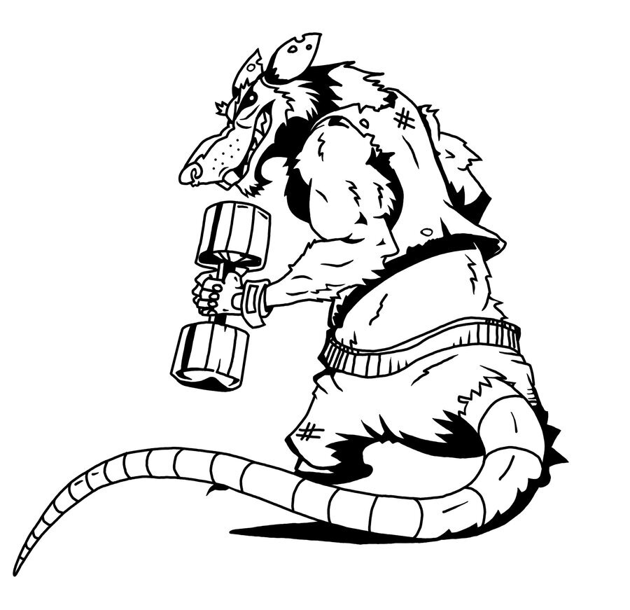 900x871 Gym Ratz On Twitter Nothing Is More Annoying Than A Weight