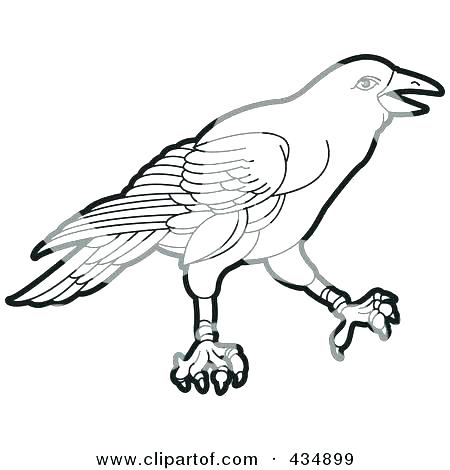 450x470 Crow Coloring