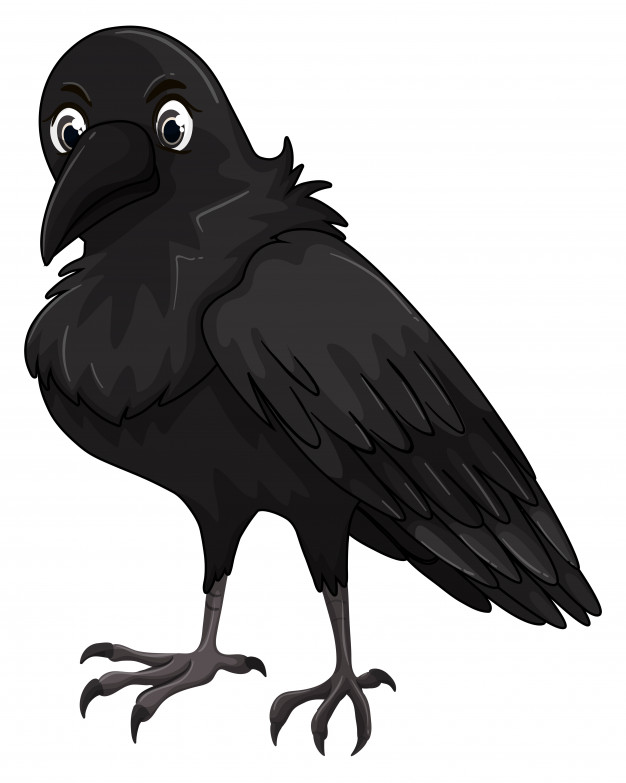 626x783 Crow Vectors, Photos And Free Download