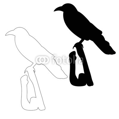 399x400 silhouette bird crow, sketch buy photos ap images detailview