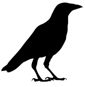 296x300 Collection Of Free Bird Drawing Crow Download On Ui Ex