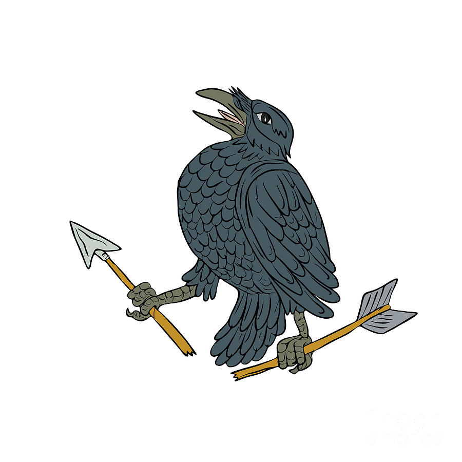 900x900 Crow Clutching Broken Arrow Drawing Digital Art