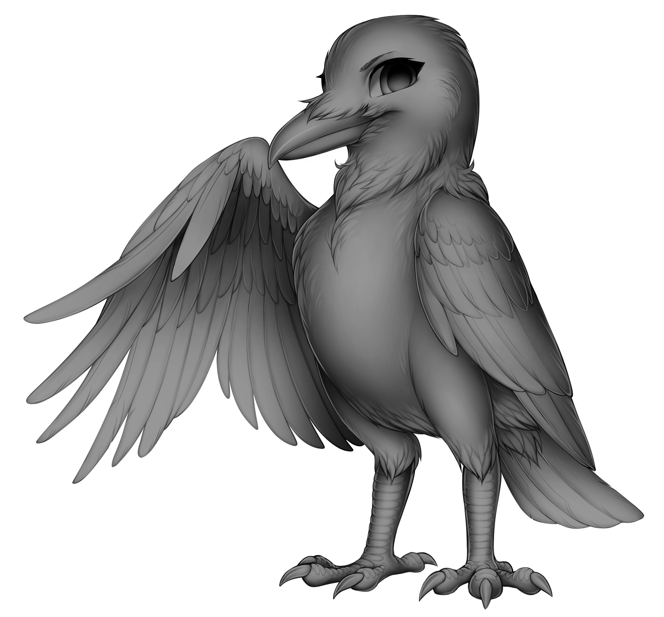 2267x2108 Drawing Raven Basic Transparent Png Clipart Free Download