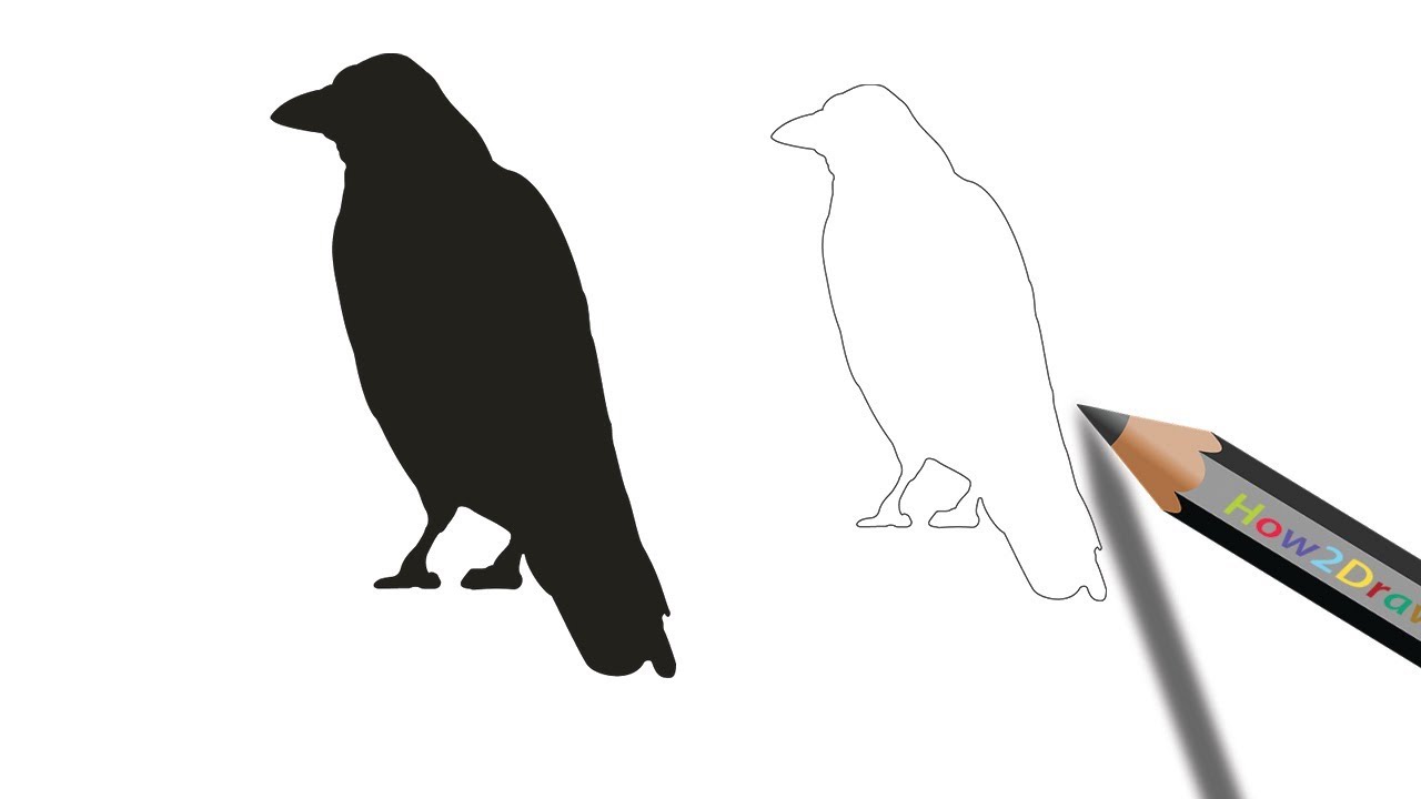 1280x720 How To Draw A Crow Step