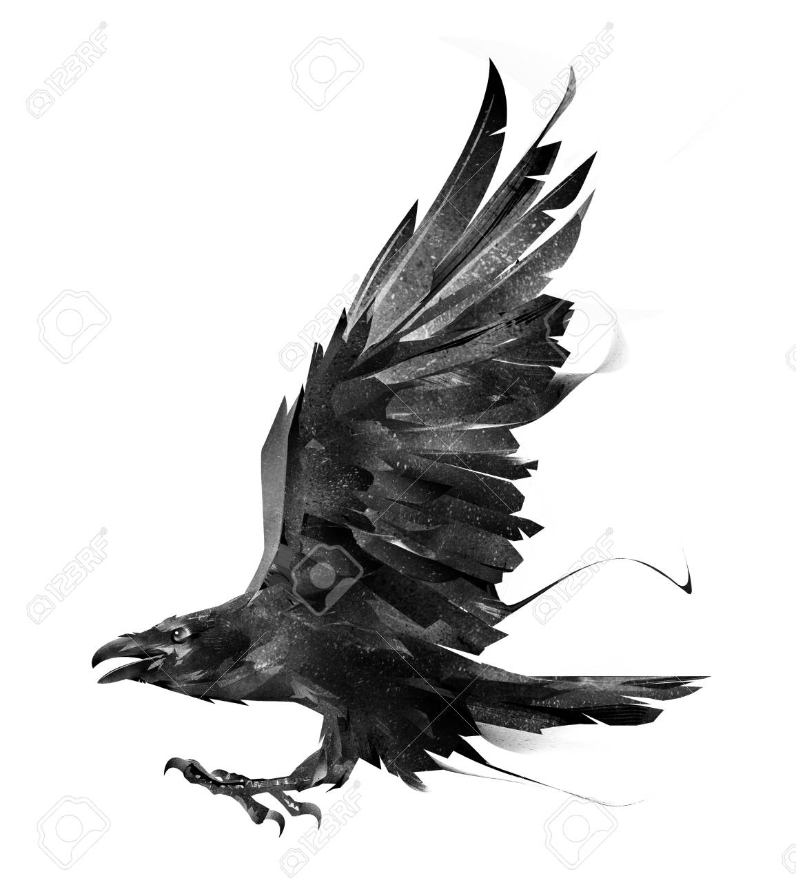 1155x1300 Huge Collection Of 'raven In Flight Drawing' Download More Than